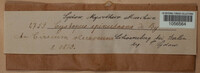 Image Associated With the Occurence
